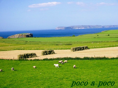 d0111216_023215.jpg