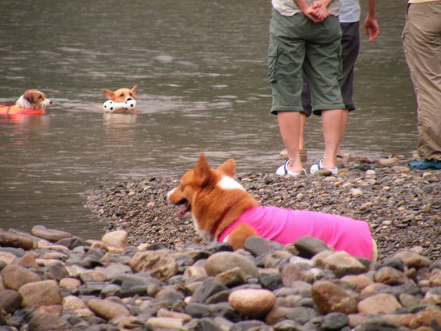 c0127617_17314516.jpg