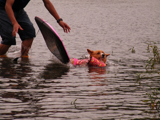 c0127617_1740785.jpg