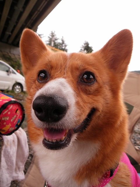 c0127617_18133728.jpg