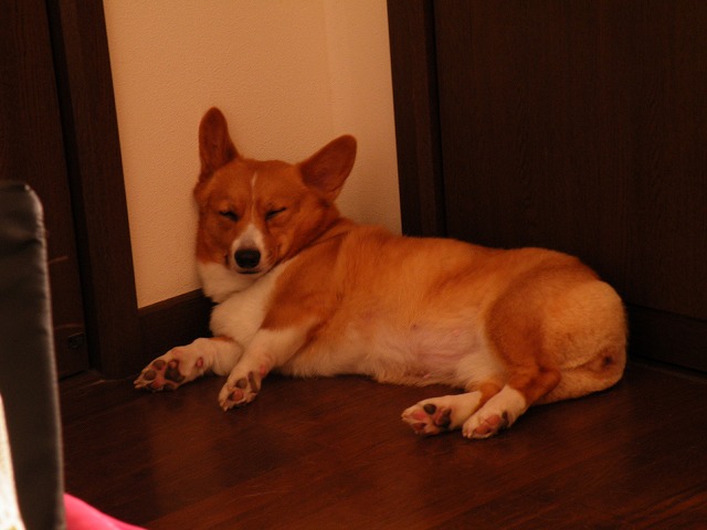 c0127617_18154729.jpg