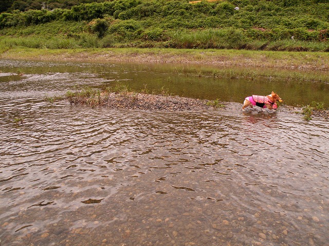 c0127617_187796.jpg