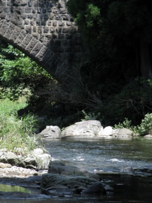 f0185619_1182429.jpg