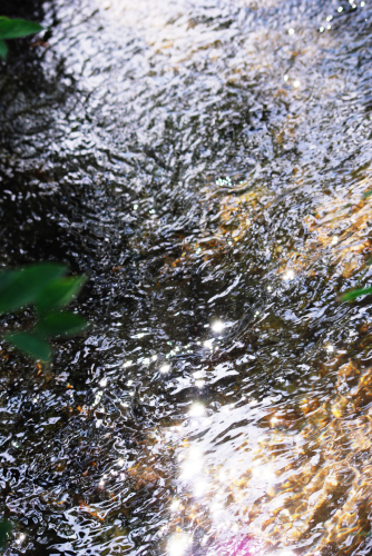e0123920_93576.jpg