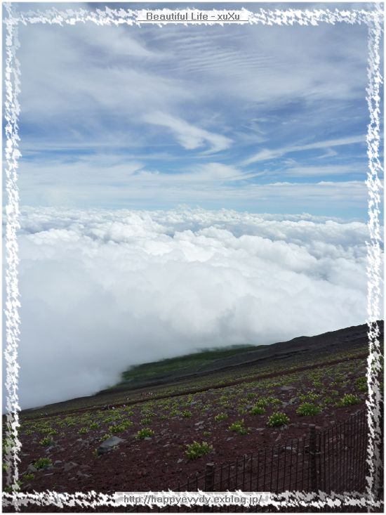 d0005621_813850.jpg