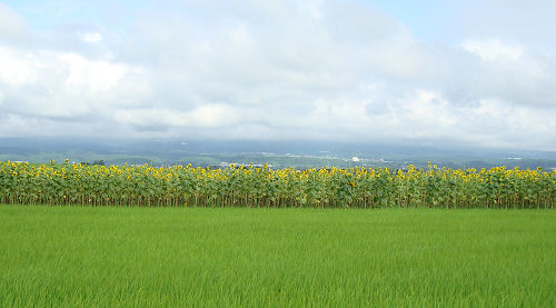 f0007926_21202465.jpg