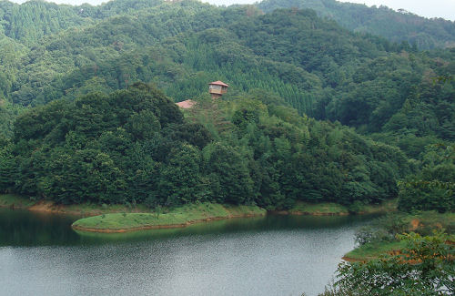 f0007926_21293159.jpg