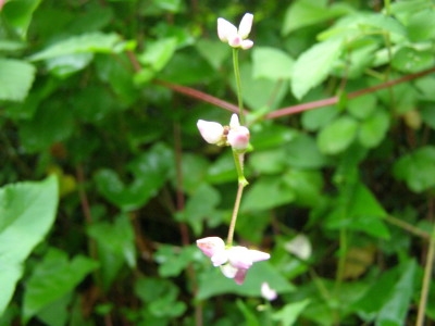 f0009128_14531150.jpg