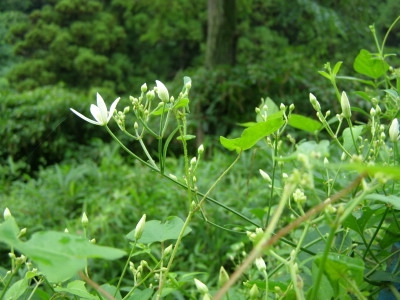 f0009128_14535361.jpg