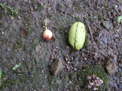 f0009128_14542081.jpg