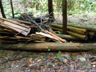 f0009128_14544130.jpg