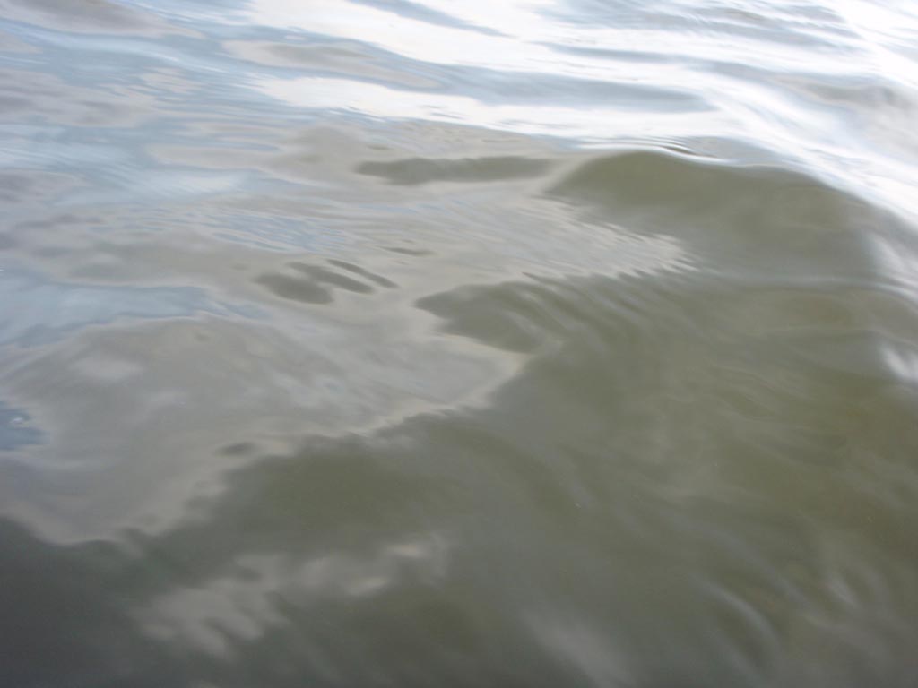 b0173629_13461189.jpg