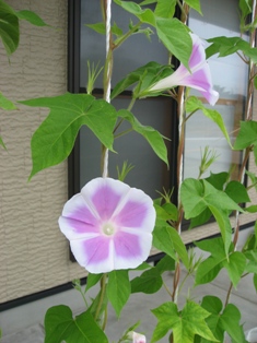 f0064432_2274111.jpg