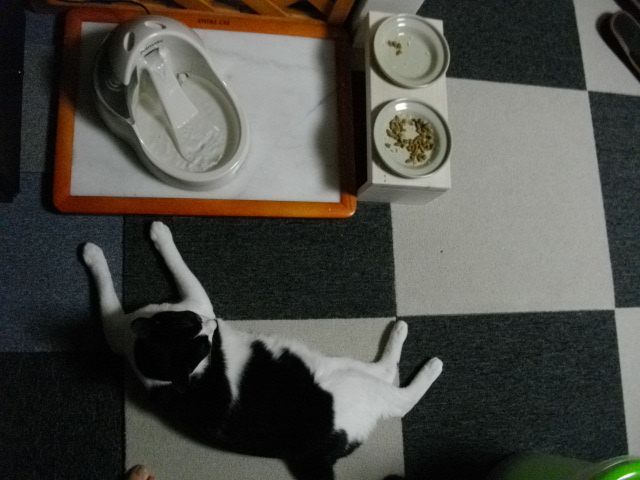c0158340_20395588.jpg