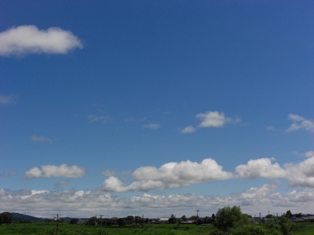 e0138840_22333679.jpg