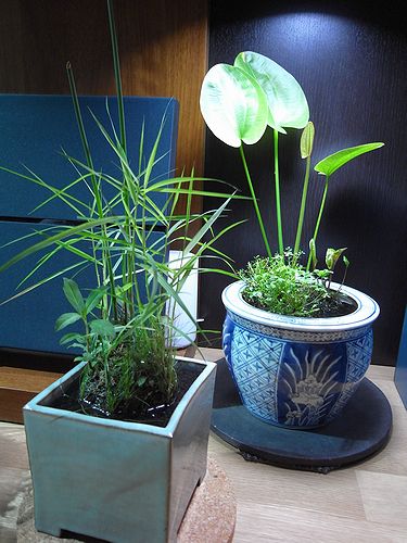 e0149241_0364113.jpg