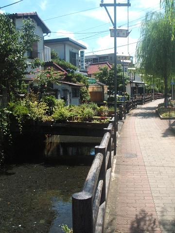 c0011342_2143223.jpg