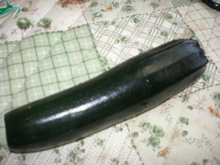 c0153444_10483017.jpg