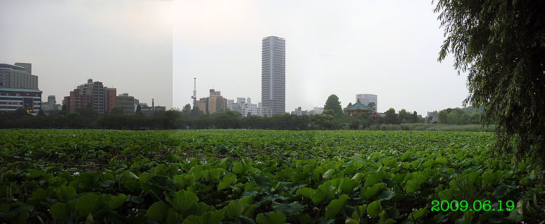 e0185645_1218968.jpg