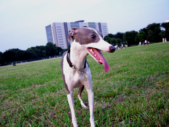 a0082146_1303043.jpg
