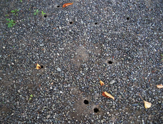 f0161647_1816288.jpg