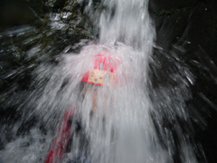 e0005548_001769.jpg