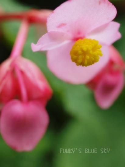 c0145250_16465442.jpg