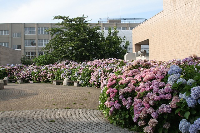 f0153450_2143757.jpg