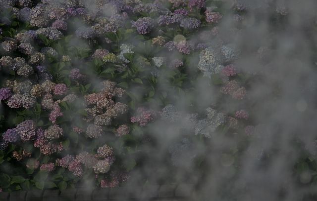 f0153450_2181773.jpg