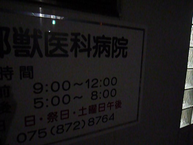 f0181251_1156554.jpg