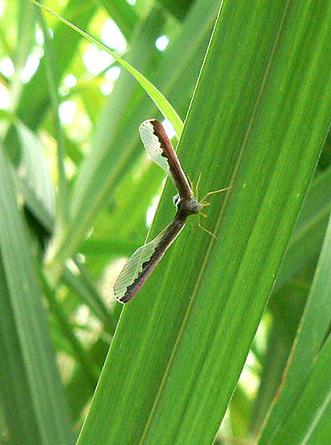 d0091754_237258.jpg