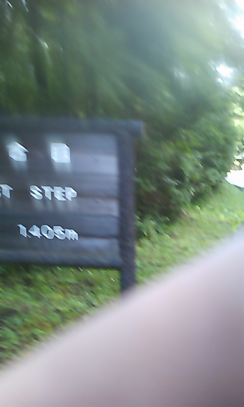 c0105957_20451636.jpg