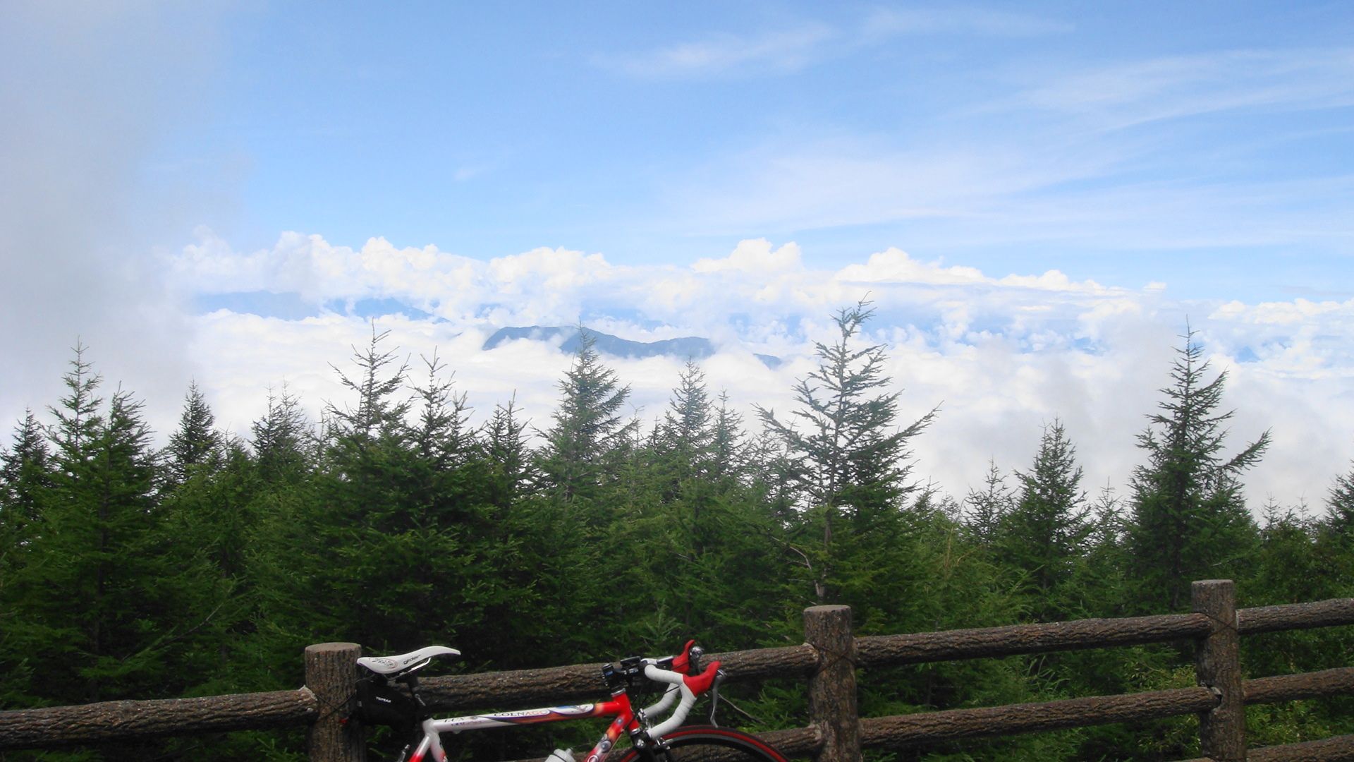 c0105957_2056521.jpg