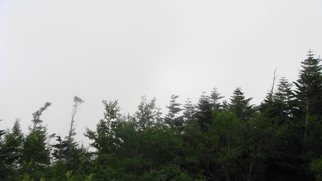 c0105957_2151636.jpg