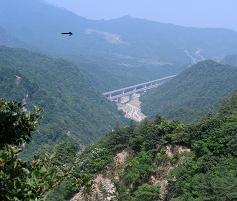 e0044657_1061247.jpg