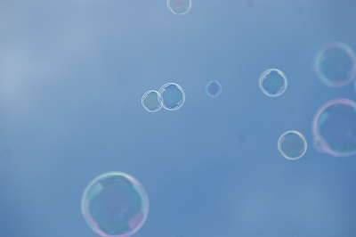 a0117858_1659241.jpg