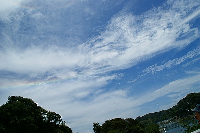 a0117858_171097.jpg