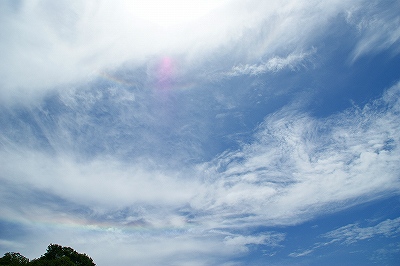 a0117858_1711064.jpg