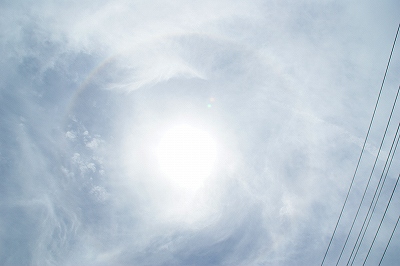 a0117858_1711963.jpg