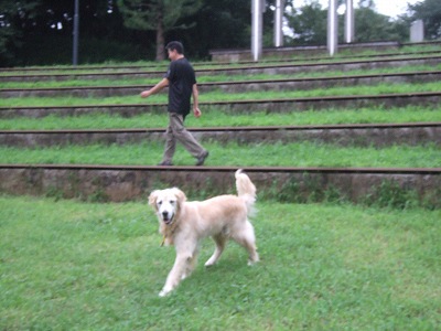 c0097558_21513825.jpg