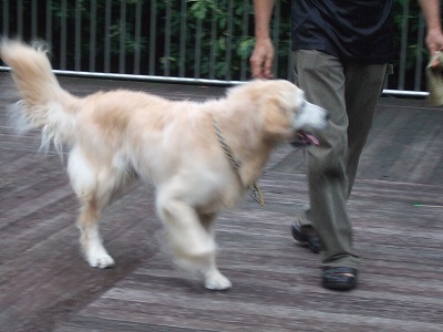 c0097558_21524052.jpg