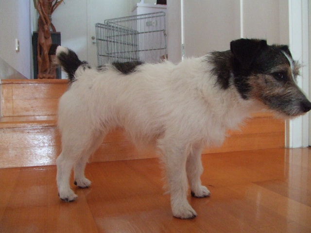 e0171460_20434823.jpg