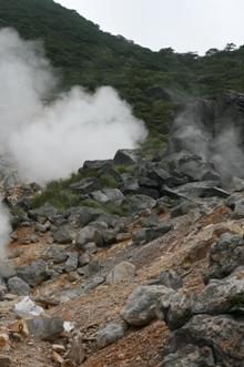 b0138661_7331961.jpg