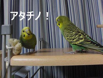 f0196665_0115675.jpg