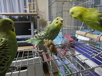 f0196665_0132423.jpg