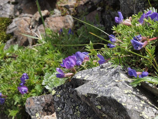 d0025568_20181839.jpg
