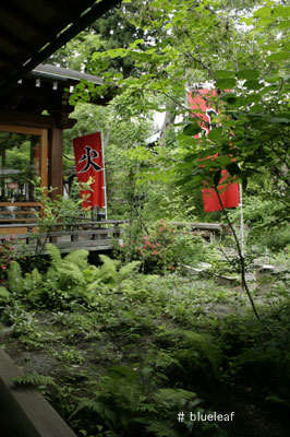c0027369_17325276.jpg
