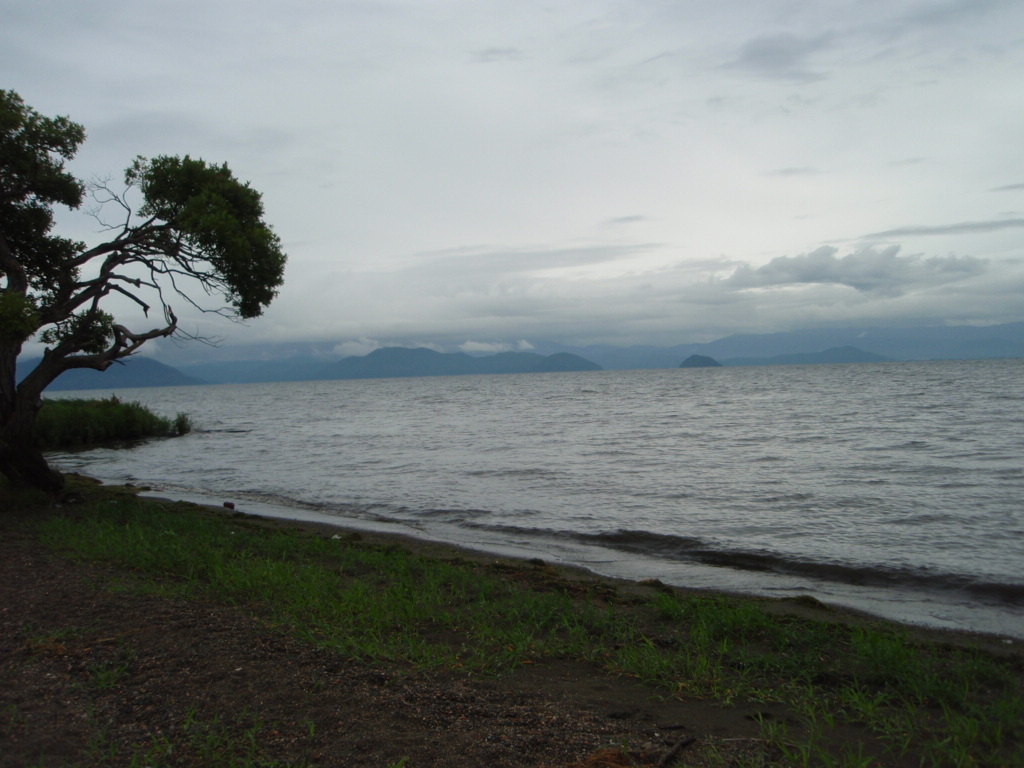 b0078370_7334993.jpg
