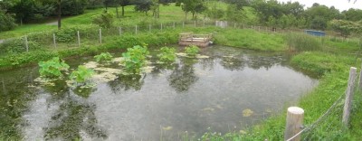 c0112172_23174857.jpg