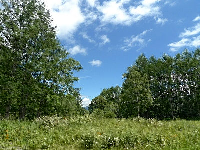 f0182173_21424577.jpg
